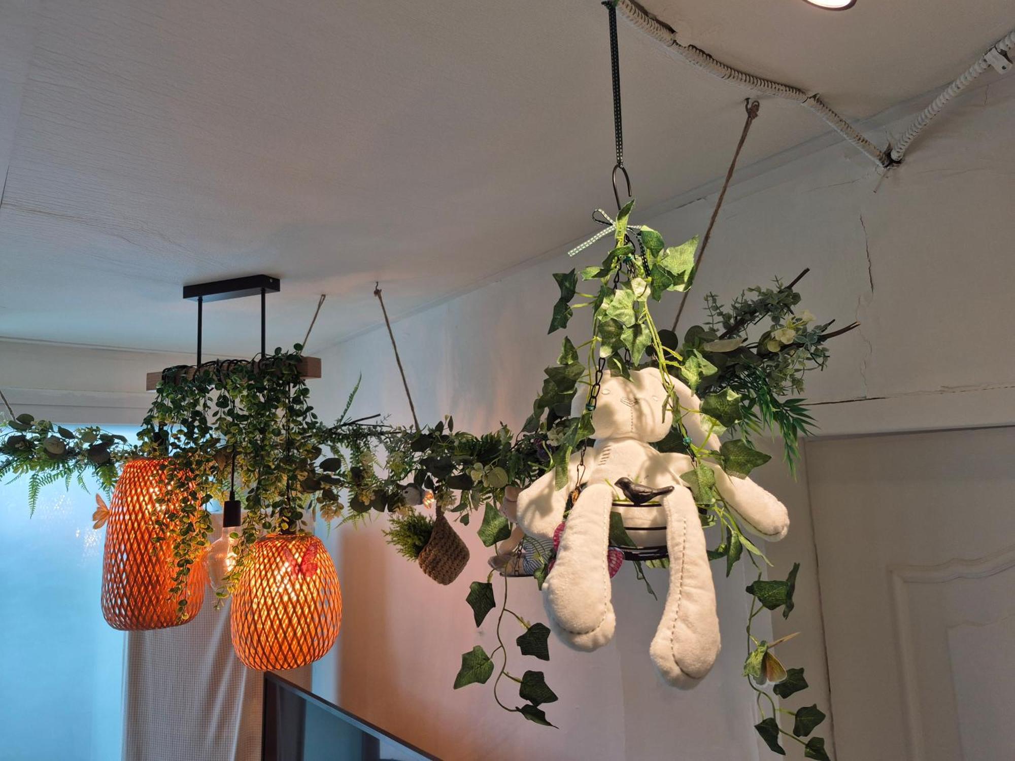 Nature House 公寓