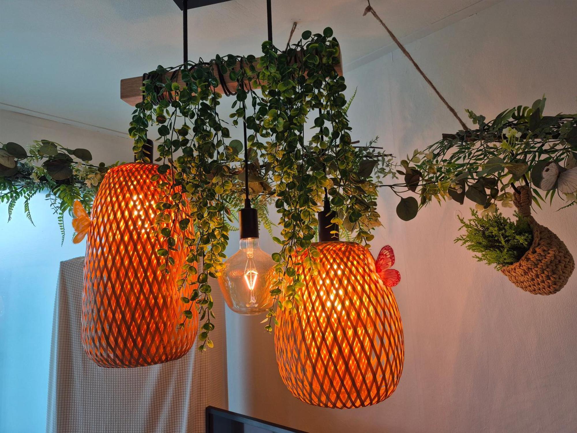 Nature House 公寓 *